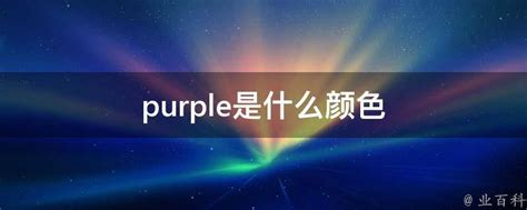 purple意思